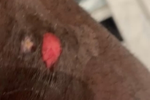 新闻配图